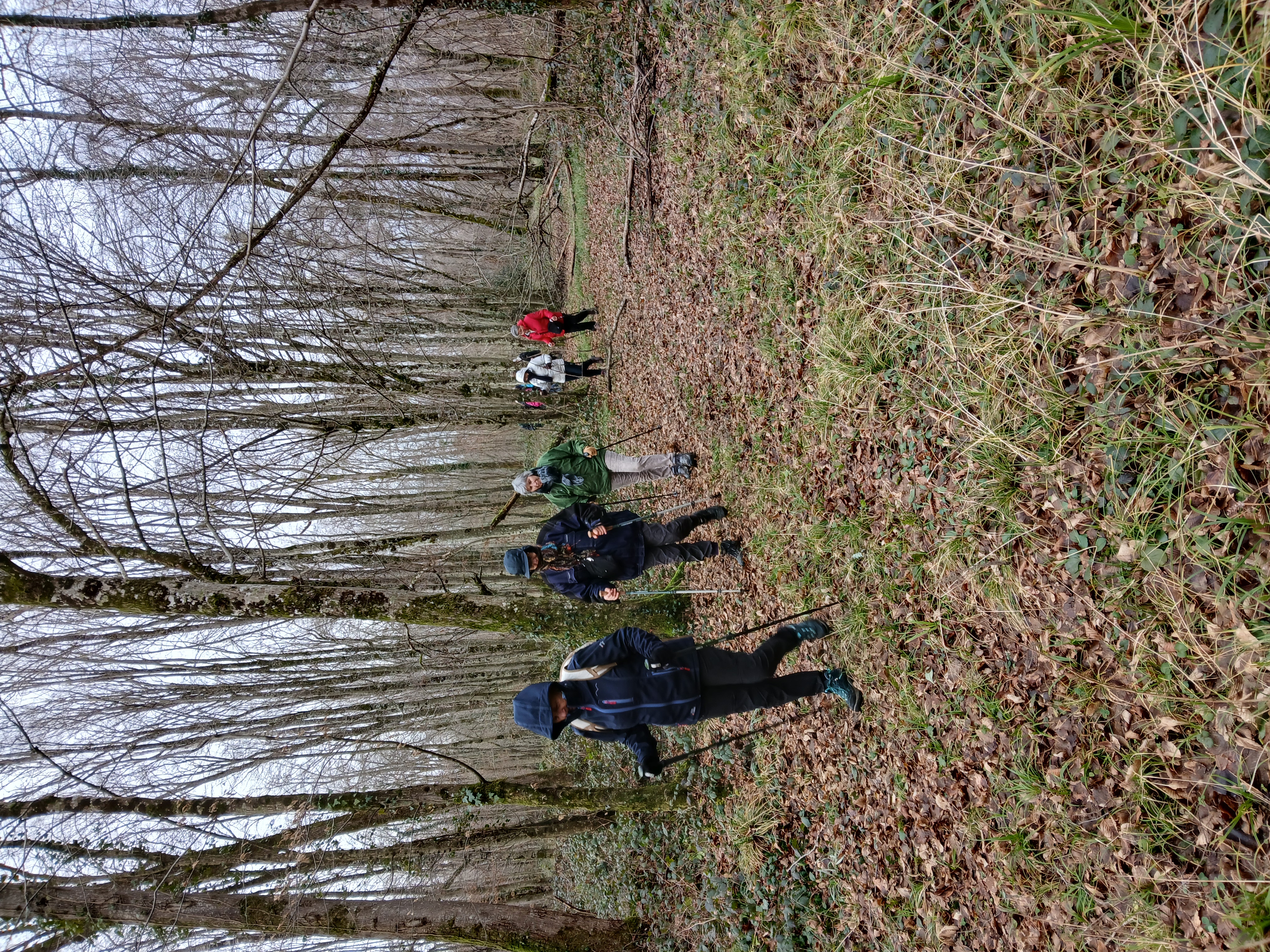 Rando Moiremont