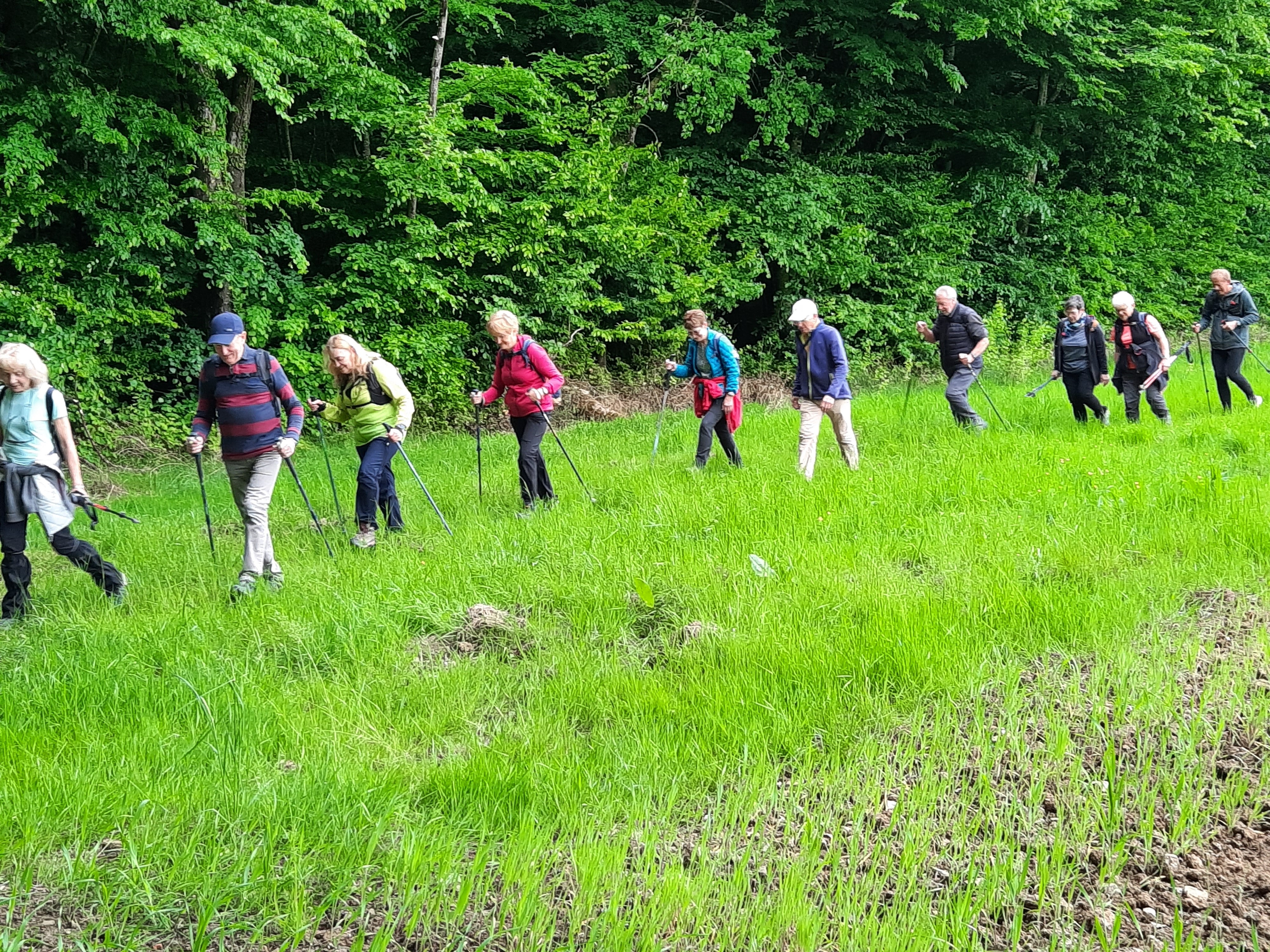 En route pour 13 km