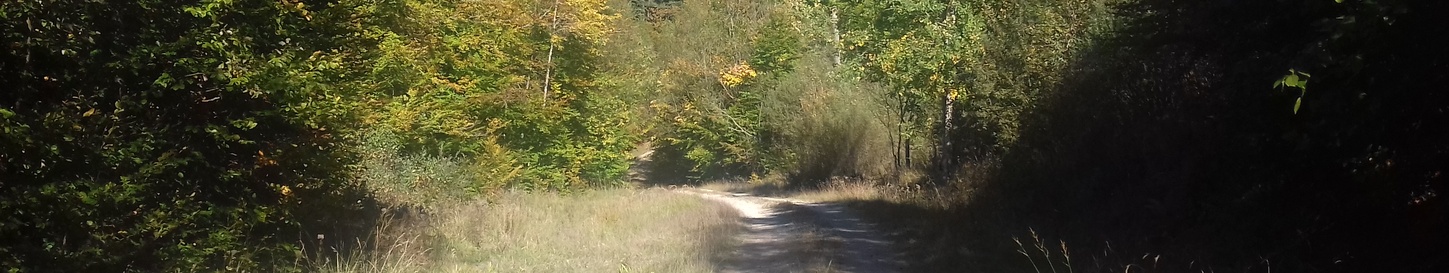 lac