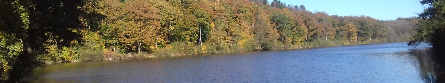 lac