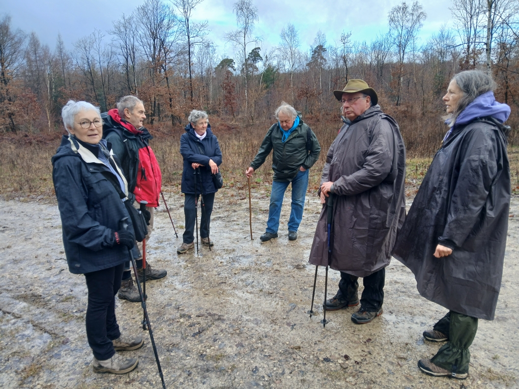 rando du 11/02/26 cote de biesmes
