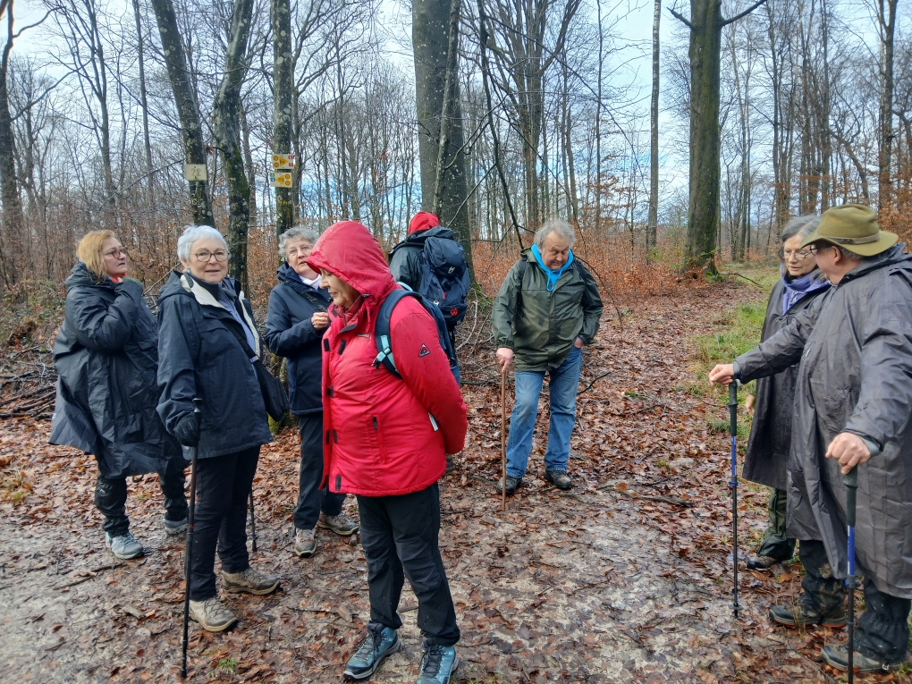 rando du 11/02/26 cote de biesmes