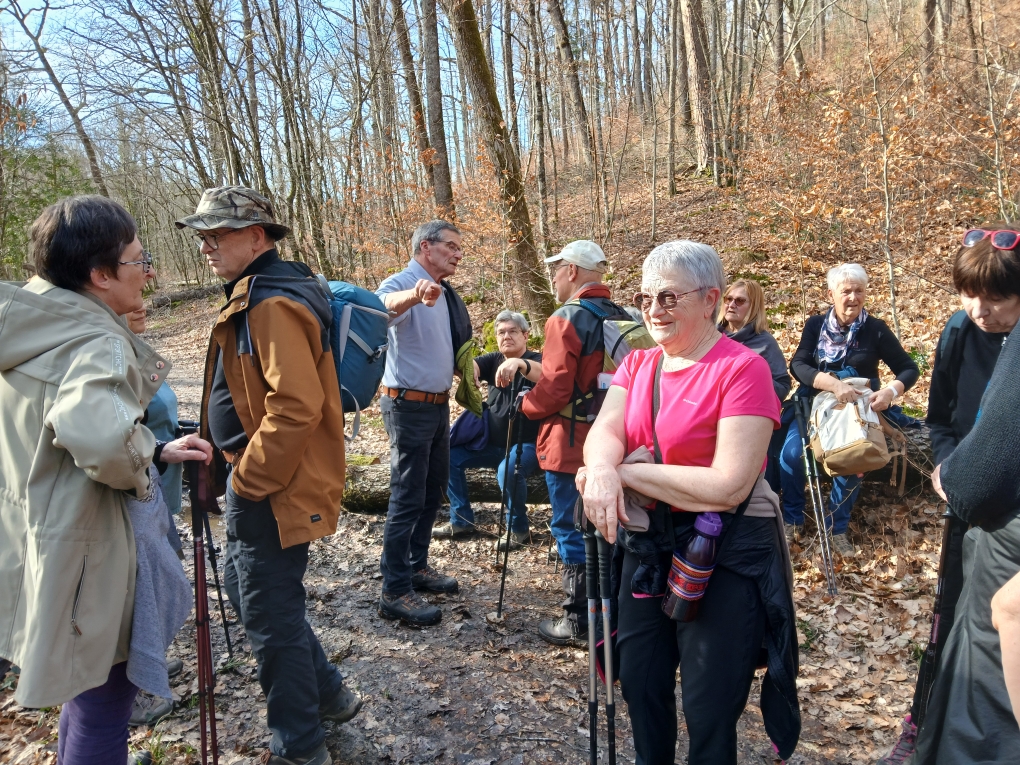 rando 6 kms du 25/02/26 à Sainte Menehould, ancien