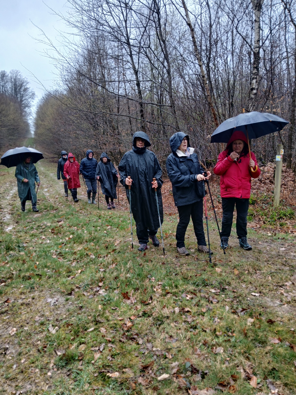 il y a du soleil sur la France..